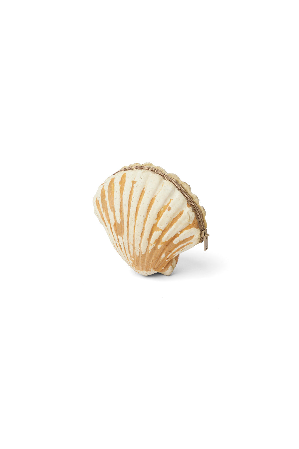 Shell small pouches