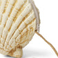 Big Size Shell Sling Bags