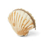 Shell small pouches