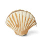 Shell small pouches