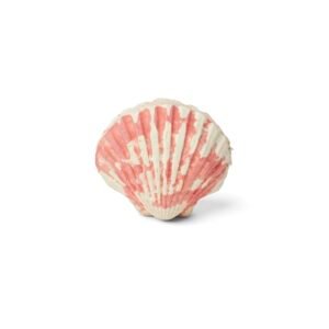 Shell Small Pouches